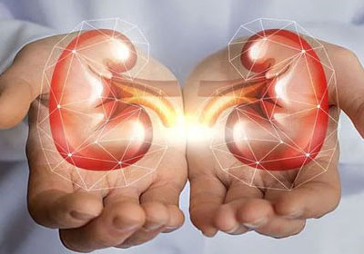 陜西省臨床重點專科：泌尿外科