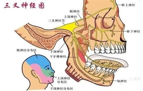 5.webp.jpg 5.webp.jpg