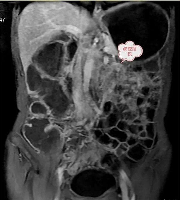 4.webp.jpg 4.webp.jpg