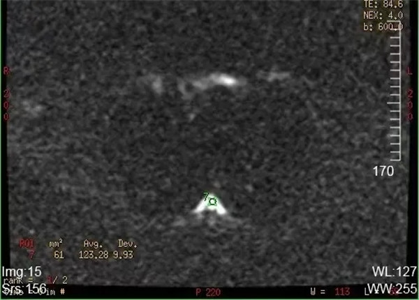 1.webp.jpg 1.webp.jpg