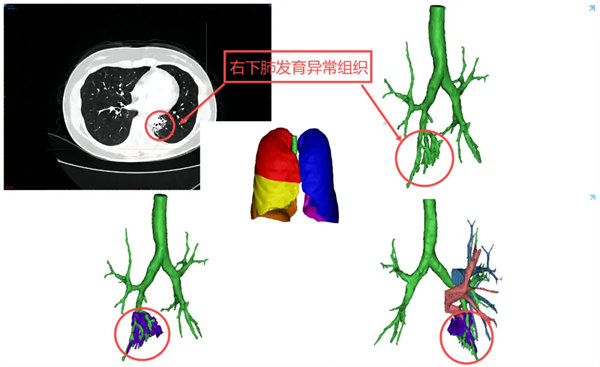 2.webp.jpg 2.webp.jpg