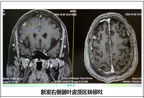 1.webp.jpg 1.webp.jpg