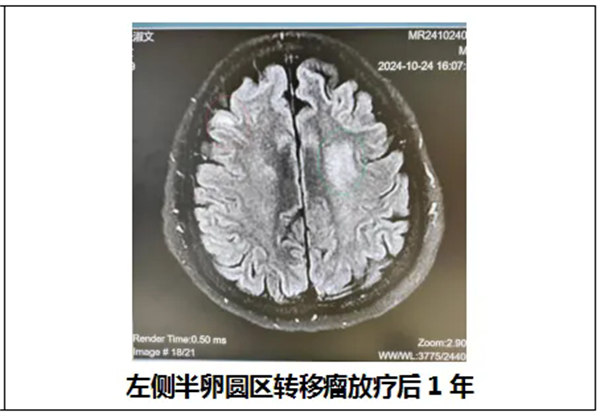 2.webp.jpg 2.webp.jpg